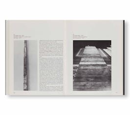 CARL ANDRE – EXTRANEOUS ROOTS